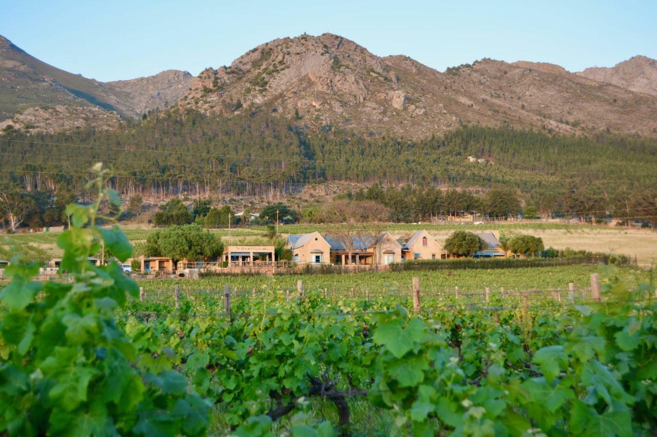 Heuwelsig Cottages Franschhoek Eksteriør billede